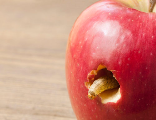 La carie nei denti da latte: prevenzione e cura