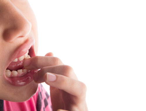 La ricrescita dei denti nei bambini: quando erompono i denti permanenti?