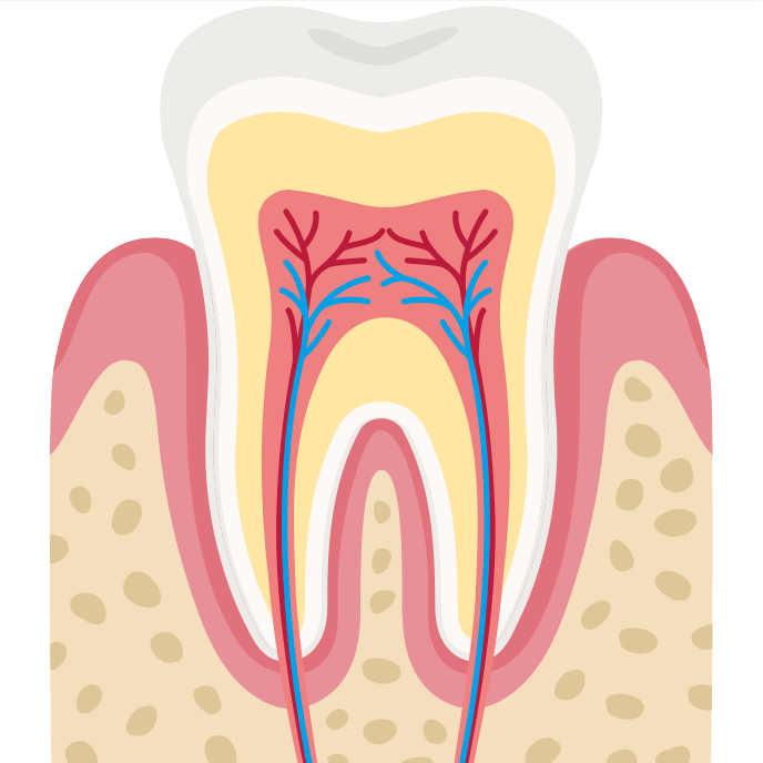 Spazzolino Elettrico